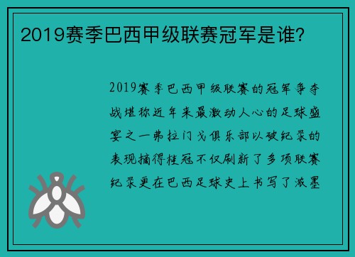 2019赛季巴西甲级联赛冠军是谁？