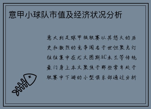 意甲小球队市值及经济状况分析